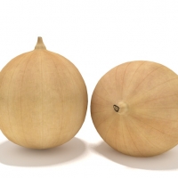 洋葱3D模型 onion sliced