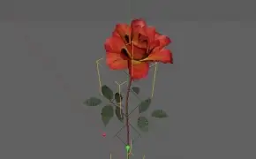 C4D FOR XFROG植物生长视频教程 （共三集）