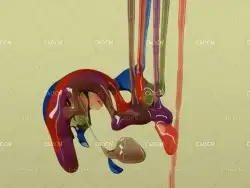 C4D X-Particles多色粘稠糖浆混合浇筑动画工程XPFluids Syrupy Sticky Colour Mixing