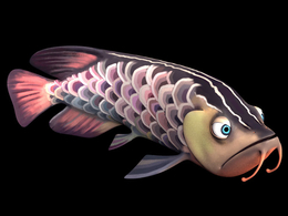 卡通金龙鱼MAYA绑定模型 Arowana