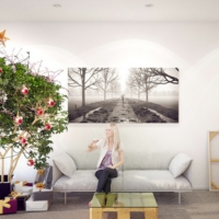 植物合集全3套(Laubwerk Plants Kits 1/2/3 For C4D and 3ds Max Win)