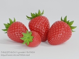 新鲜草莓模型Strawberry