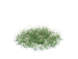绿色草地野草simple grass large v3