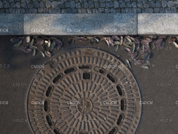 路边落满树叶的排水井盖C4D VRAY模型 manhole cover