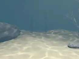 C4D模拟真实的海底动画工程文件 seabed