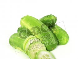 节瓜黄瓜切开的蔬菜圆片黄瓜C4D模型 cucumber