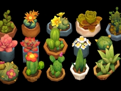 低面多边形多肉植物盆景C4D模型 succulent plants 3d model