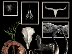 独角犀牛雕塑 小象雕塑 马雕塑 羚羊角工艺品 枯树摆件 Decorative set