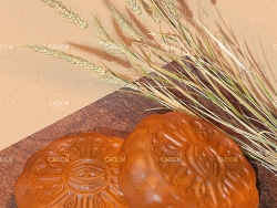 中秋节月饼C4D模型 moon cake