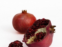 掰开的石榴水果C4D模型 pomegranate