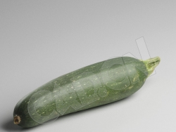 C4D蔬菜模型夏南瓜西葫芦模型 Zucchini