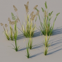 荒草C4D模型 bent 3d model