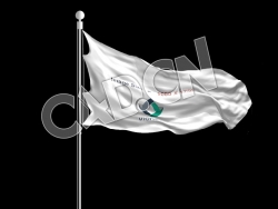 C4D企业厂旗动画模型 flag