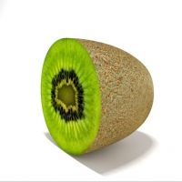 猕猴桃C4D模型 Kiwi