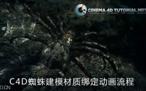 C4D蜘蛛建模材质绑定动画流程