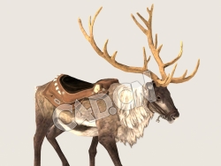 C4D驯鹿散步模型（包含骨骼绑定动画) Reindeer_Walk_F 3D Model