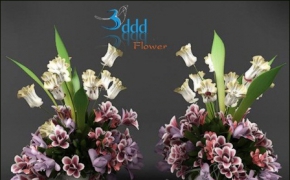 花卉3D模型合集 3DDD – Flower highres models