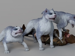 C4D灰白无毛狗游戏角色动画模型（43个动画文件） GAME OF THRONES Dog 43 animations