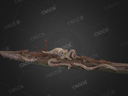 德国乐顺章鱼号超级探险游艇C4D模型下载Octopus 3d model