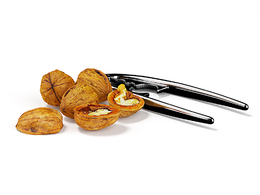 干果核桃夹半块核桃C4D模型下载