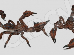 变异的魔蝎蝎子C4D动画模型