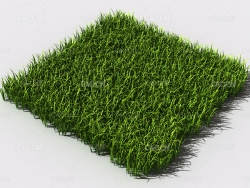 野草植物C4D模型 pattern_wild-grass-17