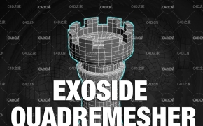 C4D四边形网格拓扑插件 Exoside QuadRemesher v1.01 for Cinema 4D Win