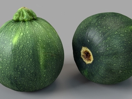 蔬菜：圆形西葫芦C4D模型 Round Zucchini