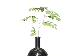 树枝插花模型Plant in Chrome Vase 3D Model
