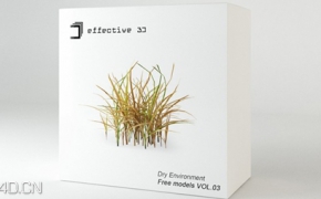 干枯植被：毛草3D模型 Effective 3D VOL.03: Dry Environment