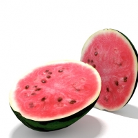 一半西瓜C4D模型 watermelon half