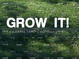 C4D草地生成 Grow It! For Cinema 4D Darstellungsart