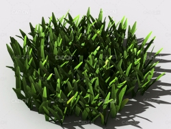 草坪草地绿草植物C4D模型 lawn-grass-d1