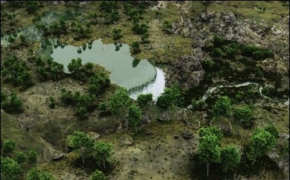 VUE场景模型：Vue Cornucopia 3D Bundle – Vuege