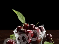 C4D水果樱桃车厘子模型 Cherry