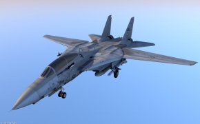 美国海军雄猫F-14战斗机 Grumman F-14 Tomcat