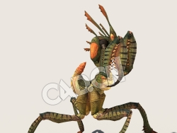 C4D螳螂模型（包含骨骼绑定动画) Mantis_A01_SK_KVN 3D Model