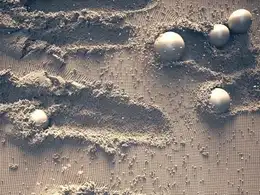 C4D使用XP粒子模拟圆球滚落地面痕迹教程 X-Particles Granular Simulation tutorial