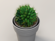 仙人球C4D模型 盆景植物 Cactus