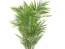矮棕竹景观绿植盆栽模型Rhapis excelsa (Thunb.) Henry ex Rehd