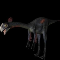 恐龙3D模型：巨盗龙（Gigantoraptor）