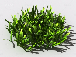 草坪草地绿草植物C4D模型 lawn-grass-i1