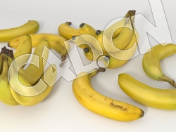 C4D香蕉水果模型 Bananas 3d Model