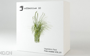 植物模型-草3D模型合集 Effective 3D – Free models VOL.01: Vegetation Pack