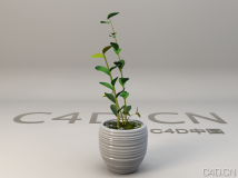 绿叶植物盆景模型 景观植物模型