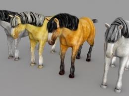 5匹野马C4D模型 Charger horse 3d model