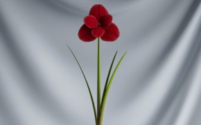 办公室装饰盆景花卉：红色小花C4D模型 Bonsai flowers