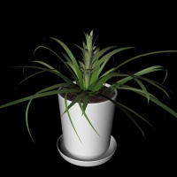 绿色植物盆景C4D模型 Bonsai plants 012927
