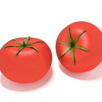 西红杮C4D模型 tomato