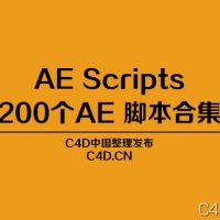 200 AE Scripts/200个AE 脚本合集